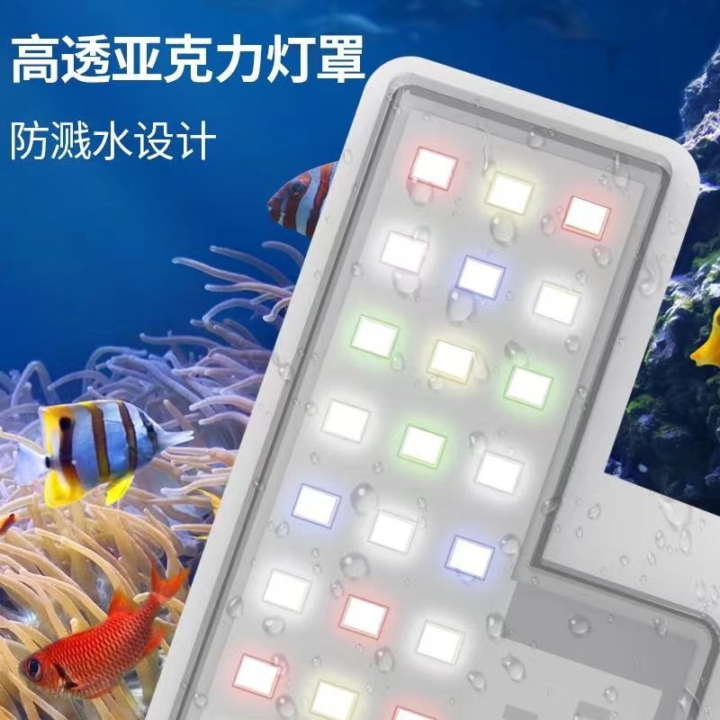 a7464436-a9fa-4b6d-8bfa-9dba7b48c553.jpe