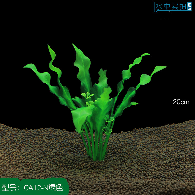 CA12-N绿色