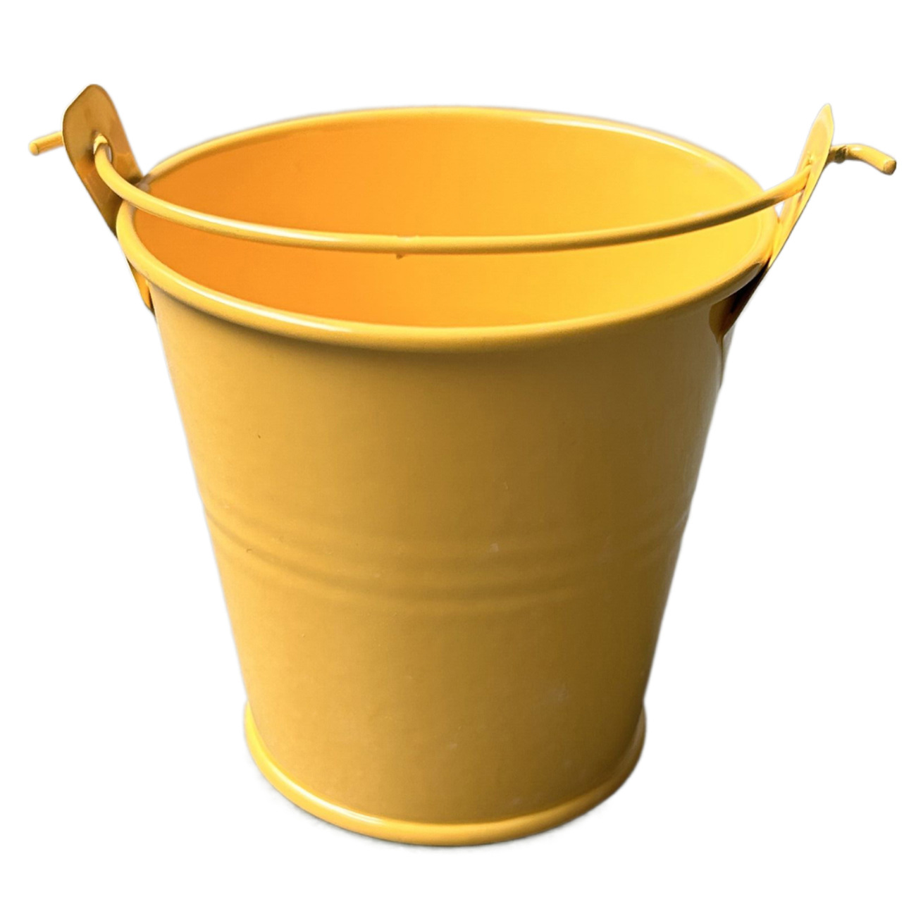 fotor_2023-3-31_10_58_32