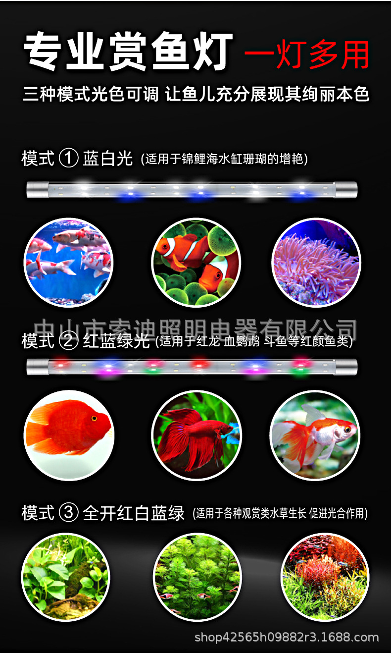 T8双排灯详情 3.jpg