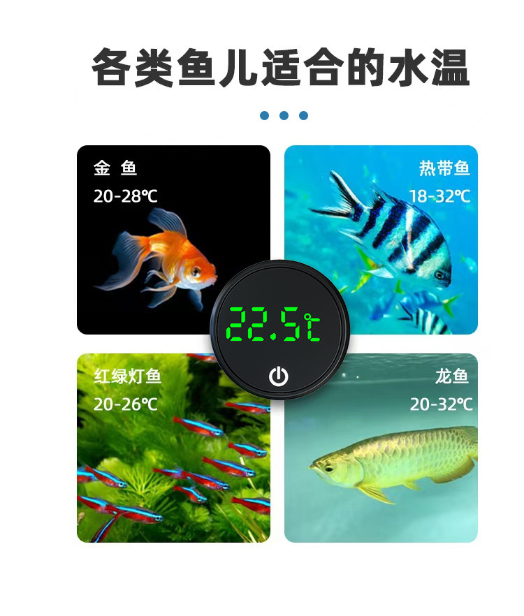 ade383ff-17d1-4e01-a82d-ac170331d038.jpe