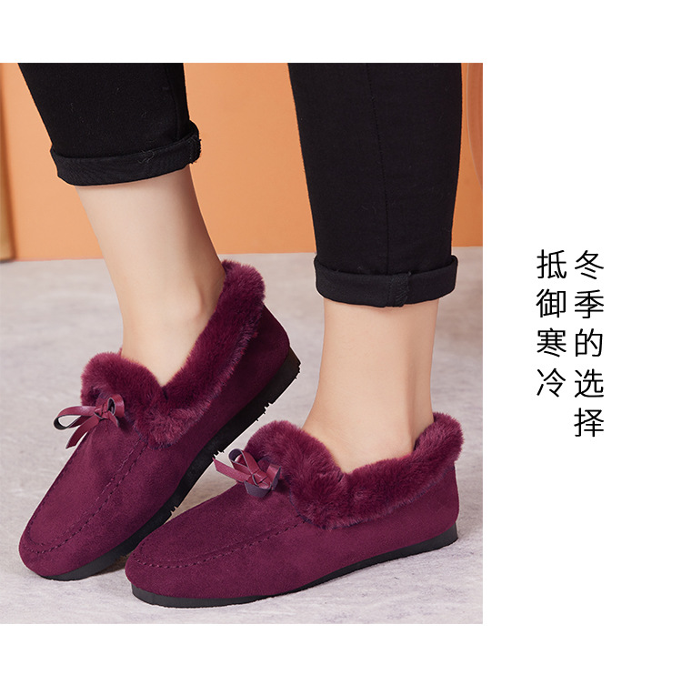 翻毛蝴蝶_17.jpg