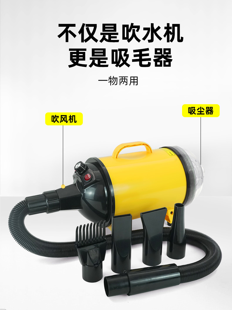 c38b6072-df2c-451d-b7f0-e7c8425838b4.jpe