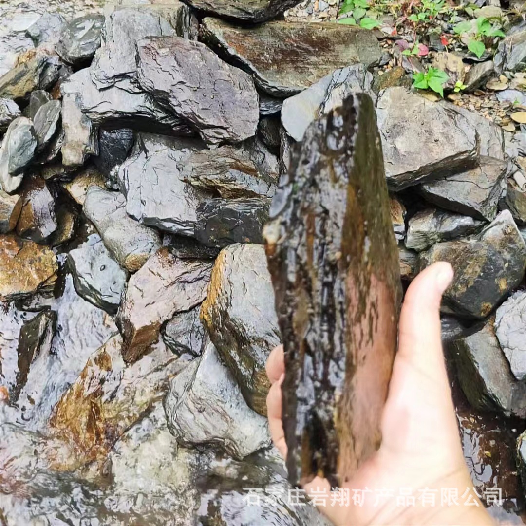 b87e6d4ab525d0d7f63ce6bdf2df54