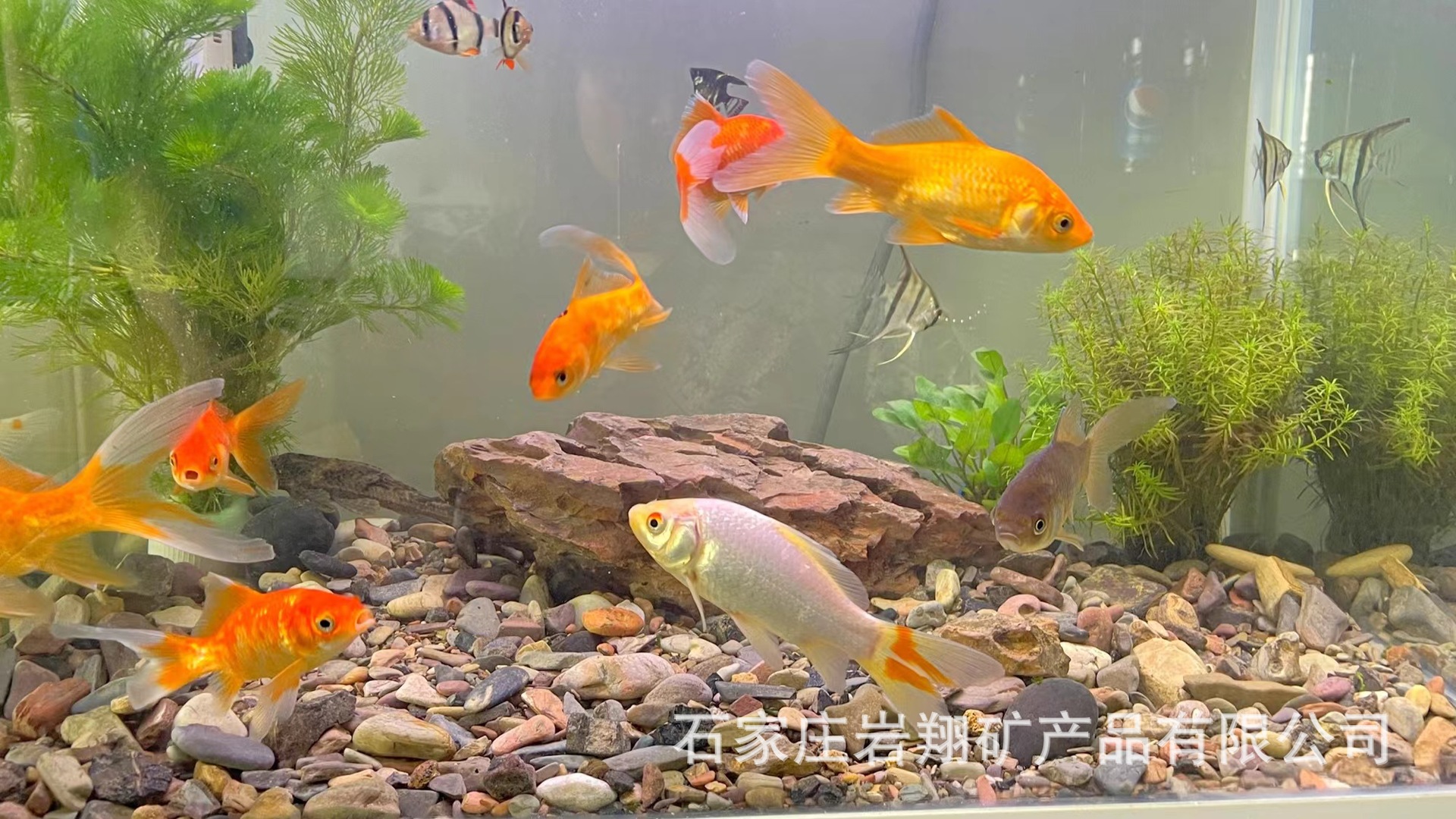 84f465fa61bf8a4c5abeeb6ad4168c