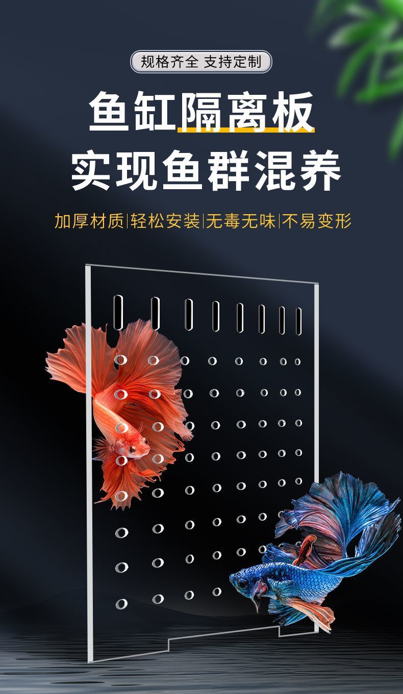 b408e5f3-099e-4c51-9124-a684bd88c0ea.jpe