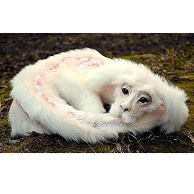 O1CN01xMrriA2134dL9kl5b_!!2240