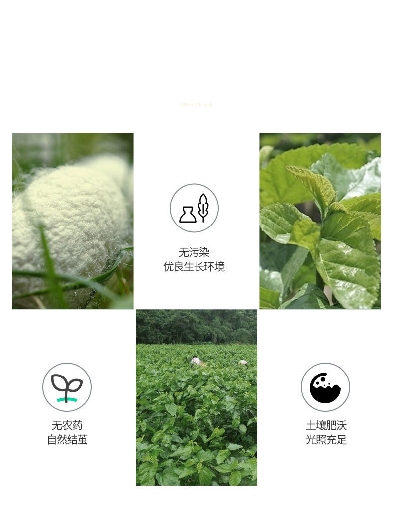 03682b7e-43d7-4947-b41a-111e46297aed.jpe