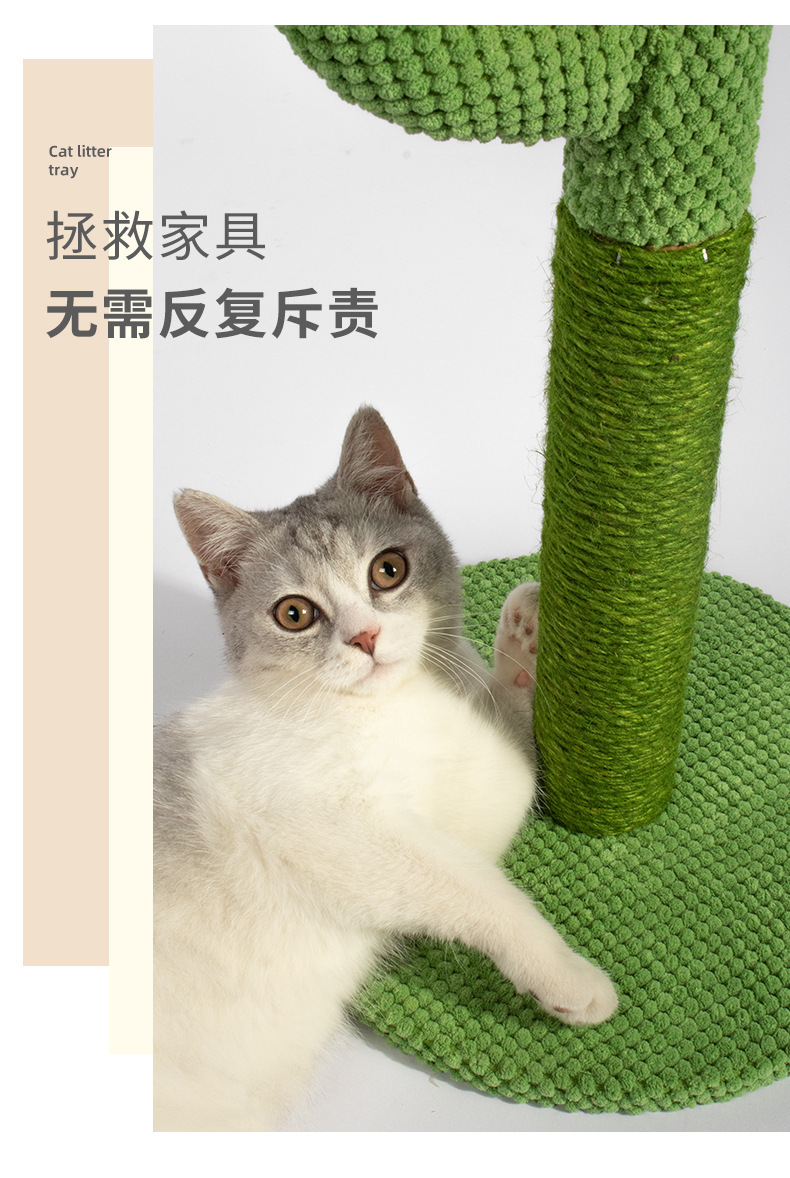 详情5.jpg