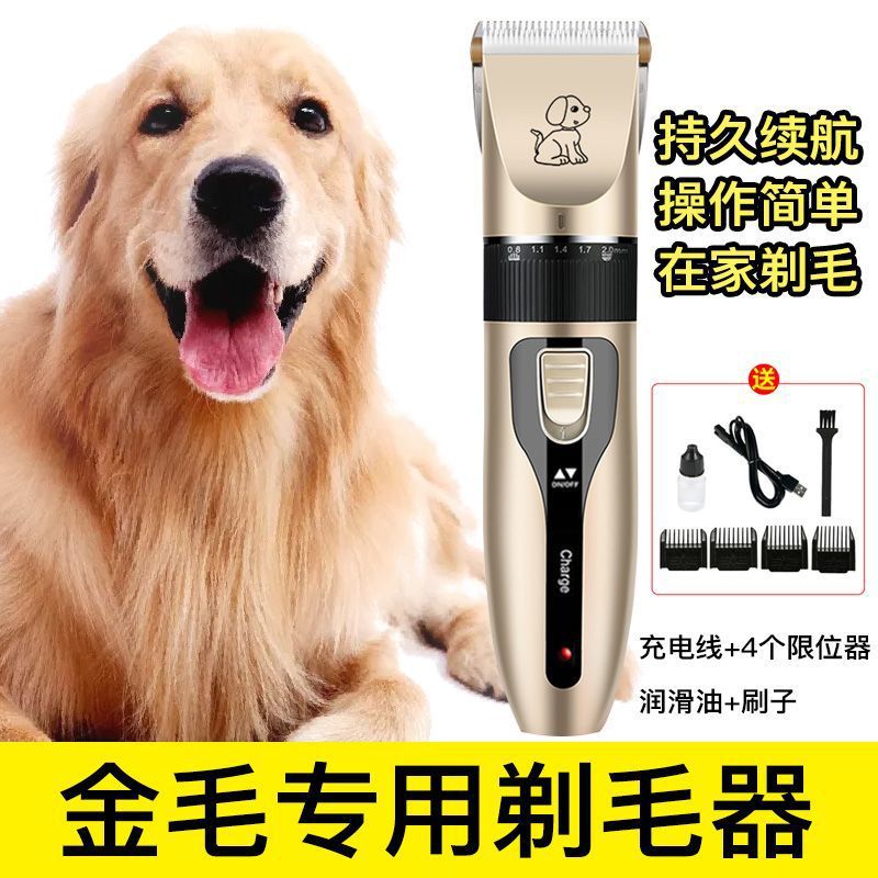 4a3b8d15-3732-4006-ba55-31d75ec862ec.jpe