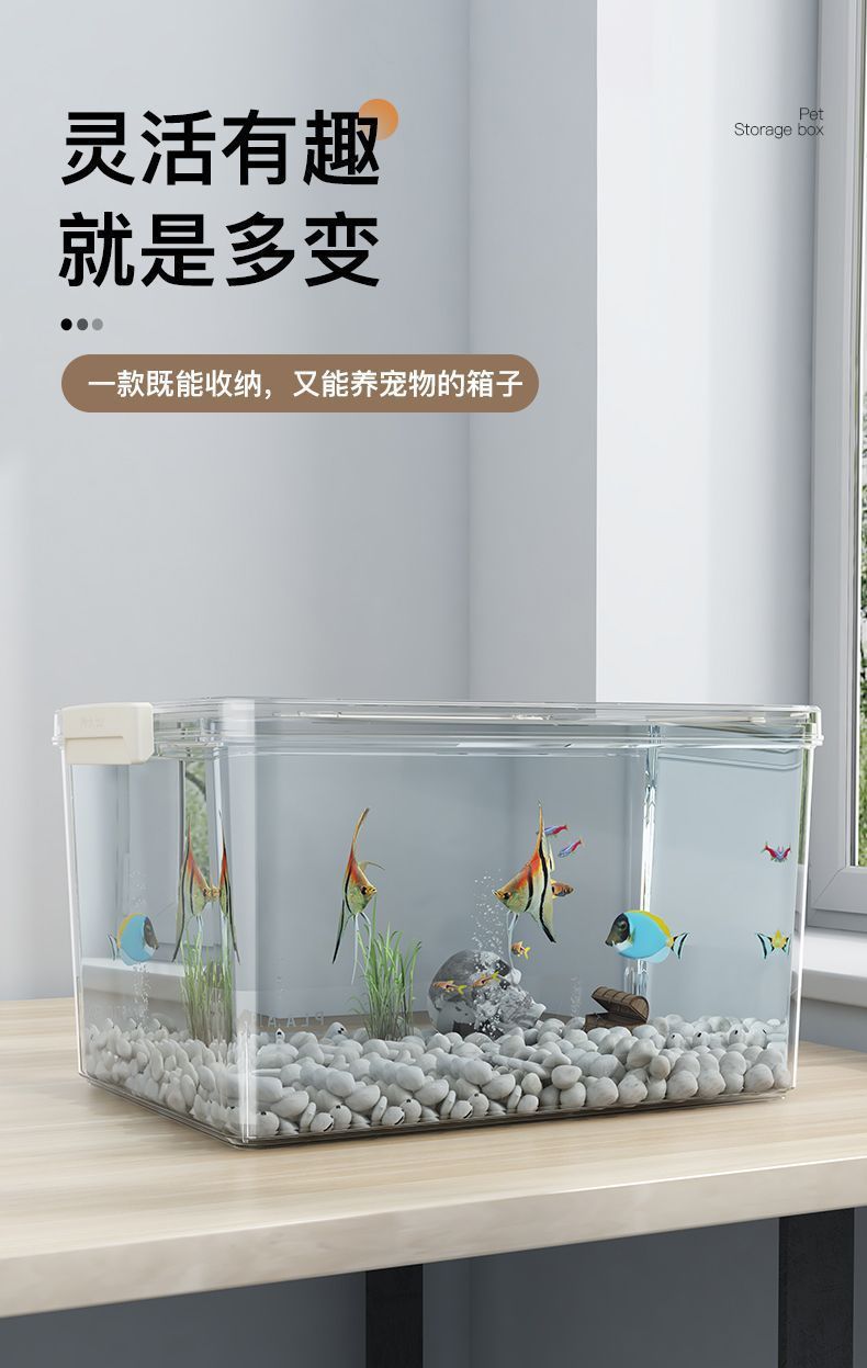 1e96a381-65c5-4342-a2dc-dc82e381c0d2.jpe