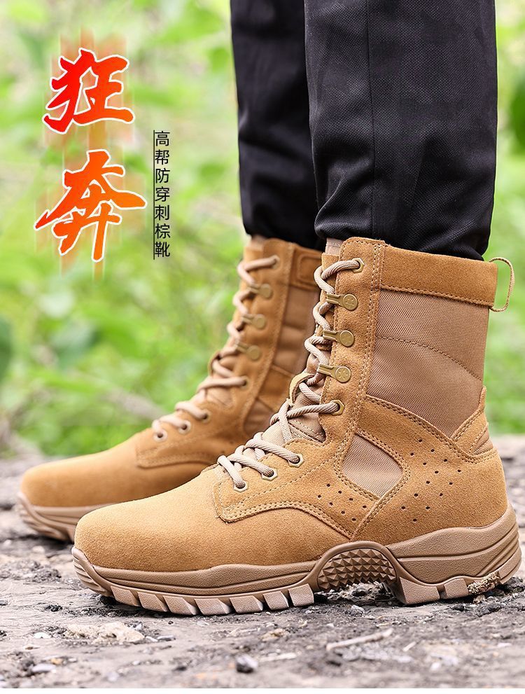 9dd50cbe-3e1b-4774-8793-4dca03a39a6f.jpe