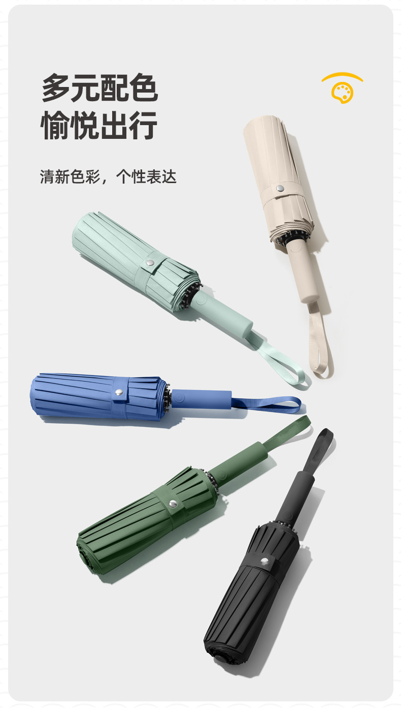 详情 (6)