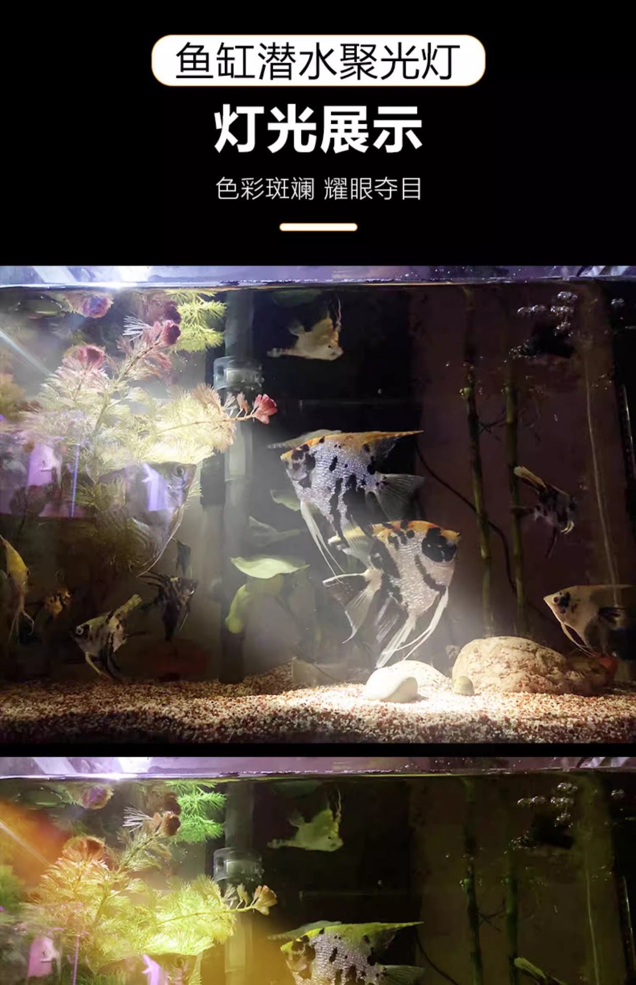 详情图_09_PC.jpg