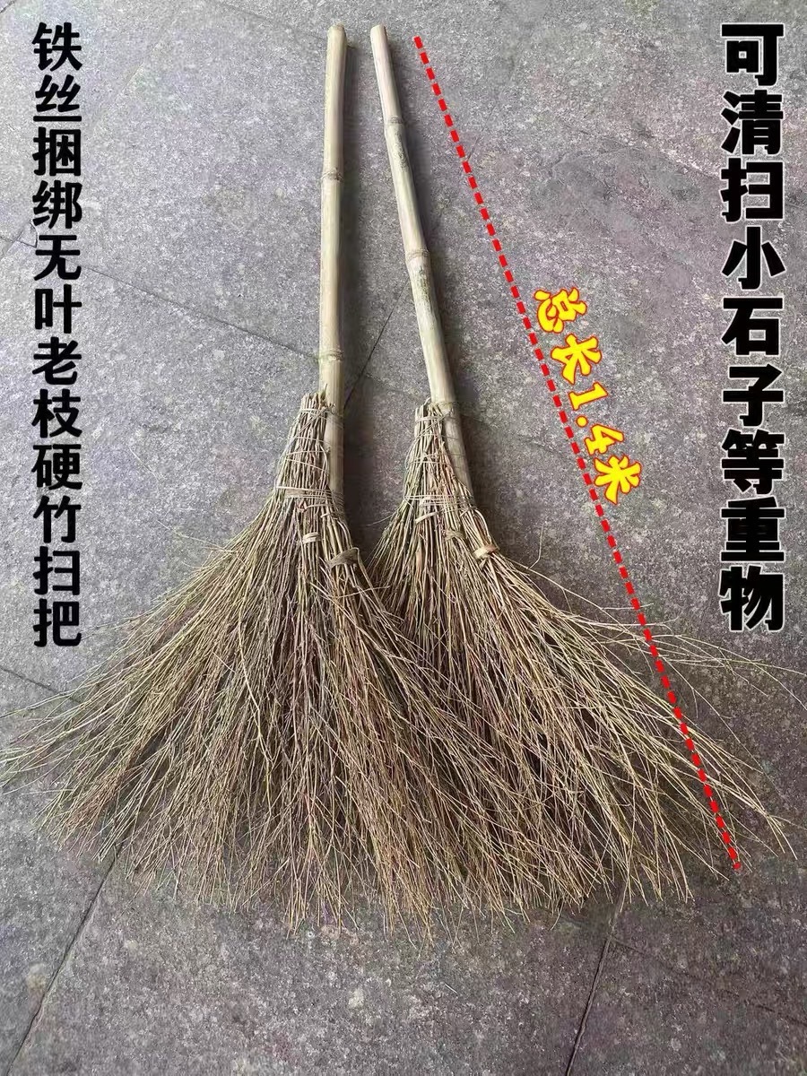 7239db6c-22b5-4b23-a2b9-37b7d442d8ac.jpe