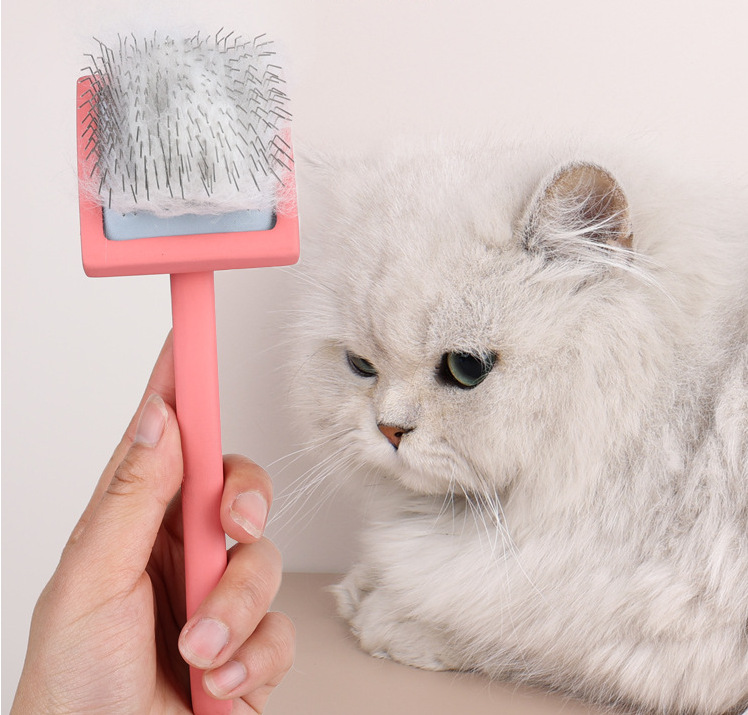 Ha9b3a010a6c940b380d90e229dc4a