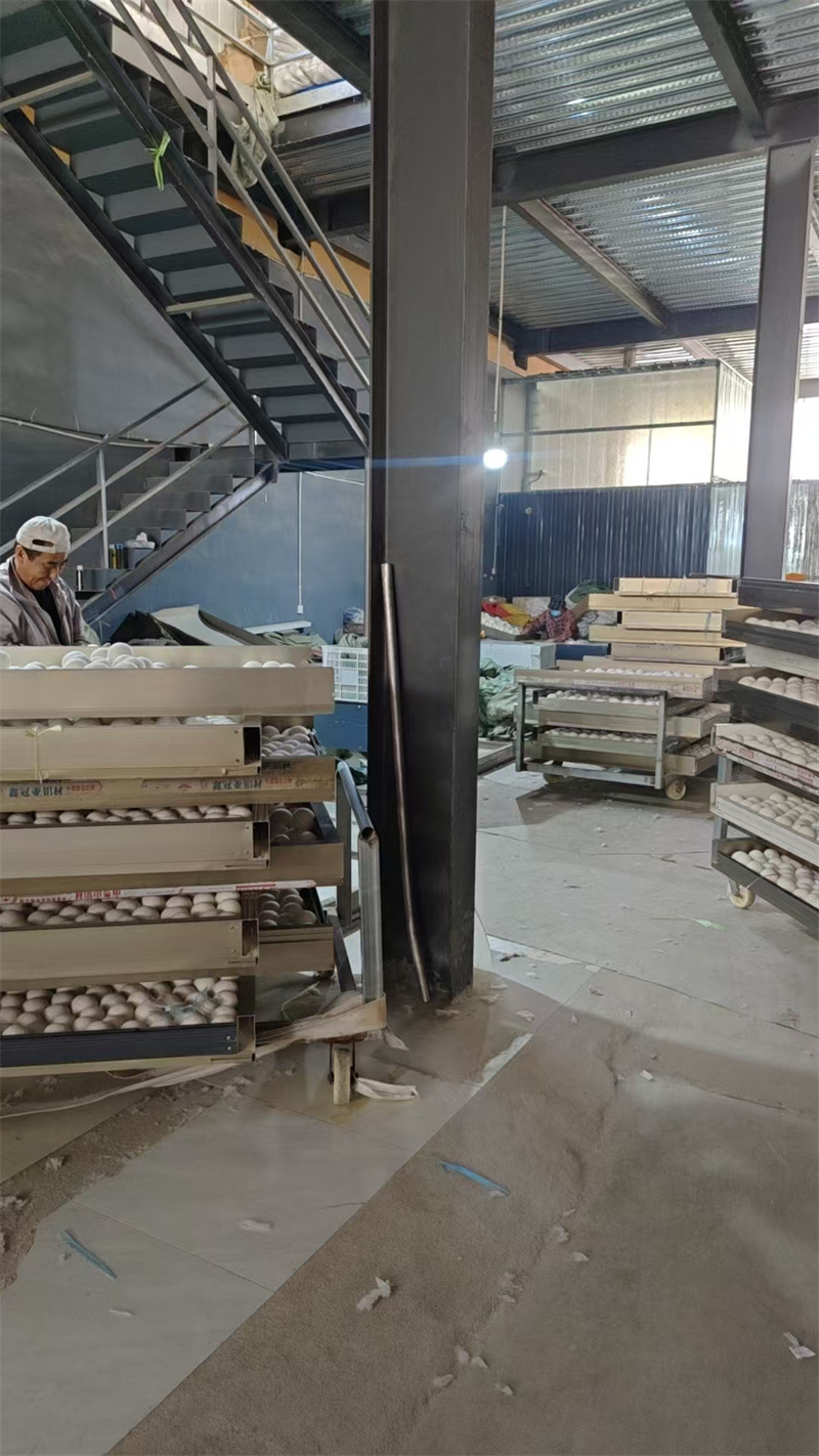 13506b701015948b922b7431b52935