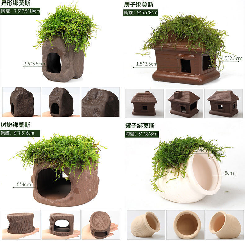 62b1d9ec-db98-4d6c-9415-80bb9171e117.jpe