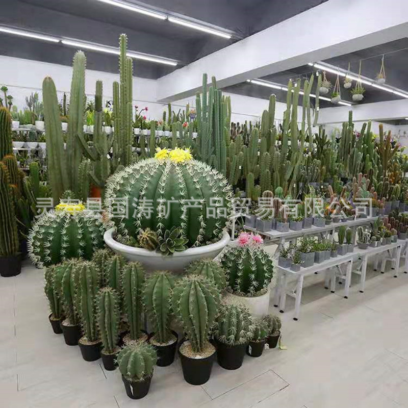 产品展示.jpg