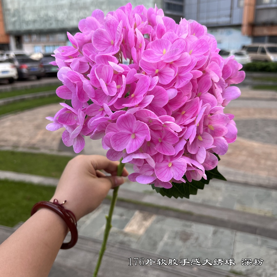 微信图片_20220727125756_副本