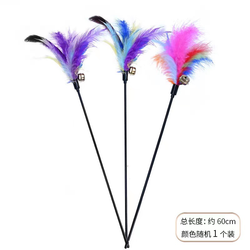 49a19352b0add7751bff4b433a2aba