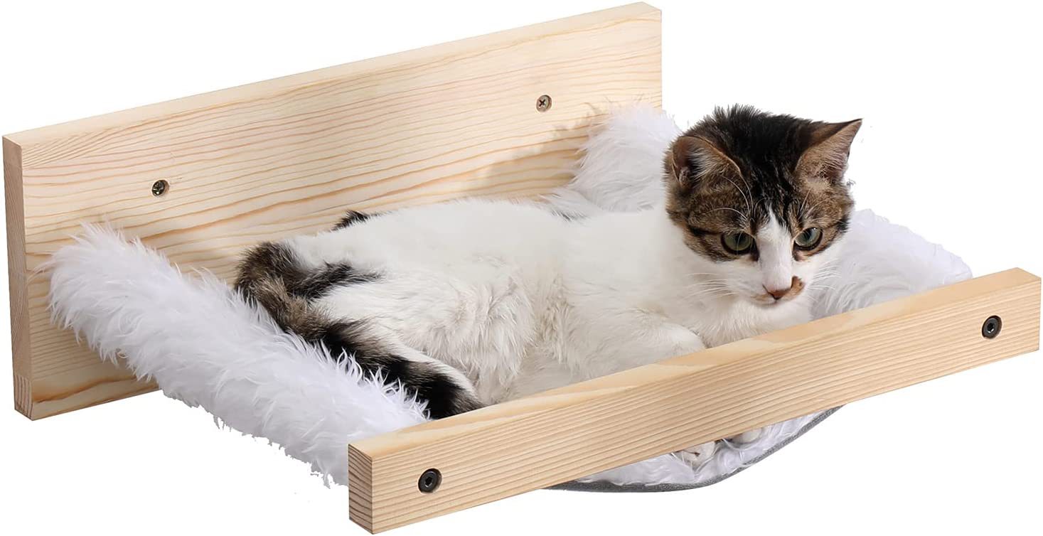 61jvaJwDQEL._AC_SL1500_