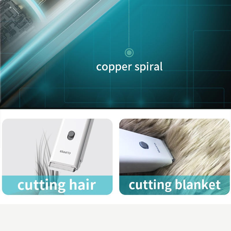 20210416LGL外贸版_06