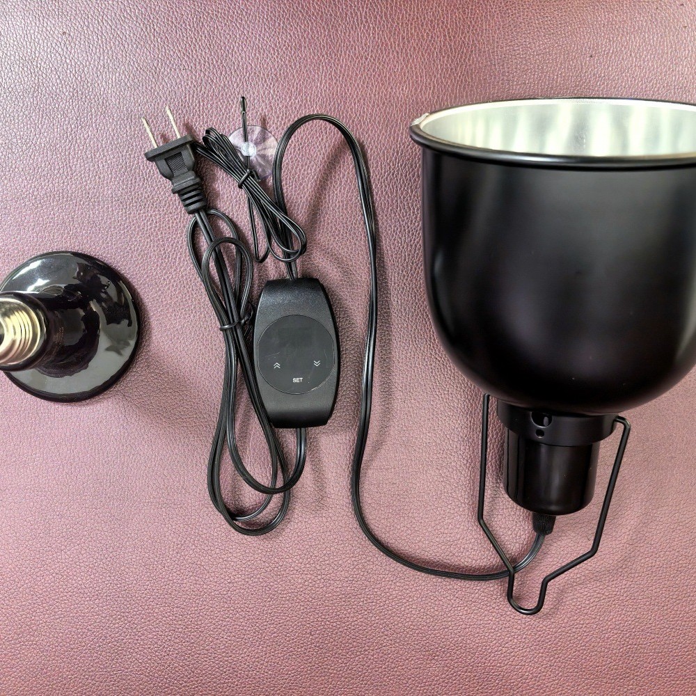 2025-04-27 20:42:03.jpg