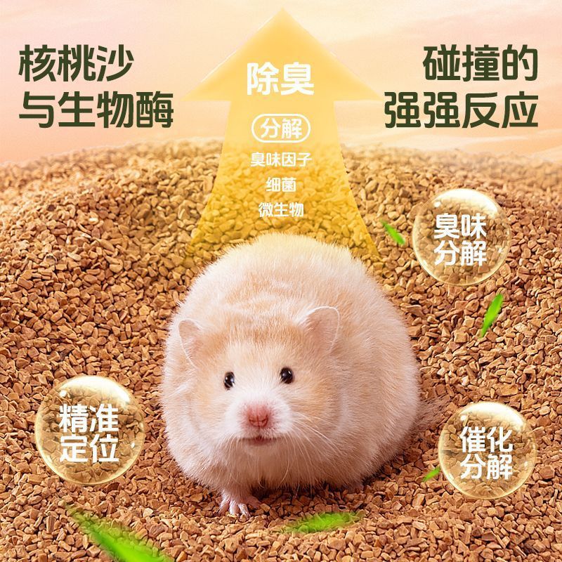 e5febe76-dcfa-454a-b2d8-1f85ebc7c58f.jpe