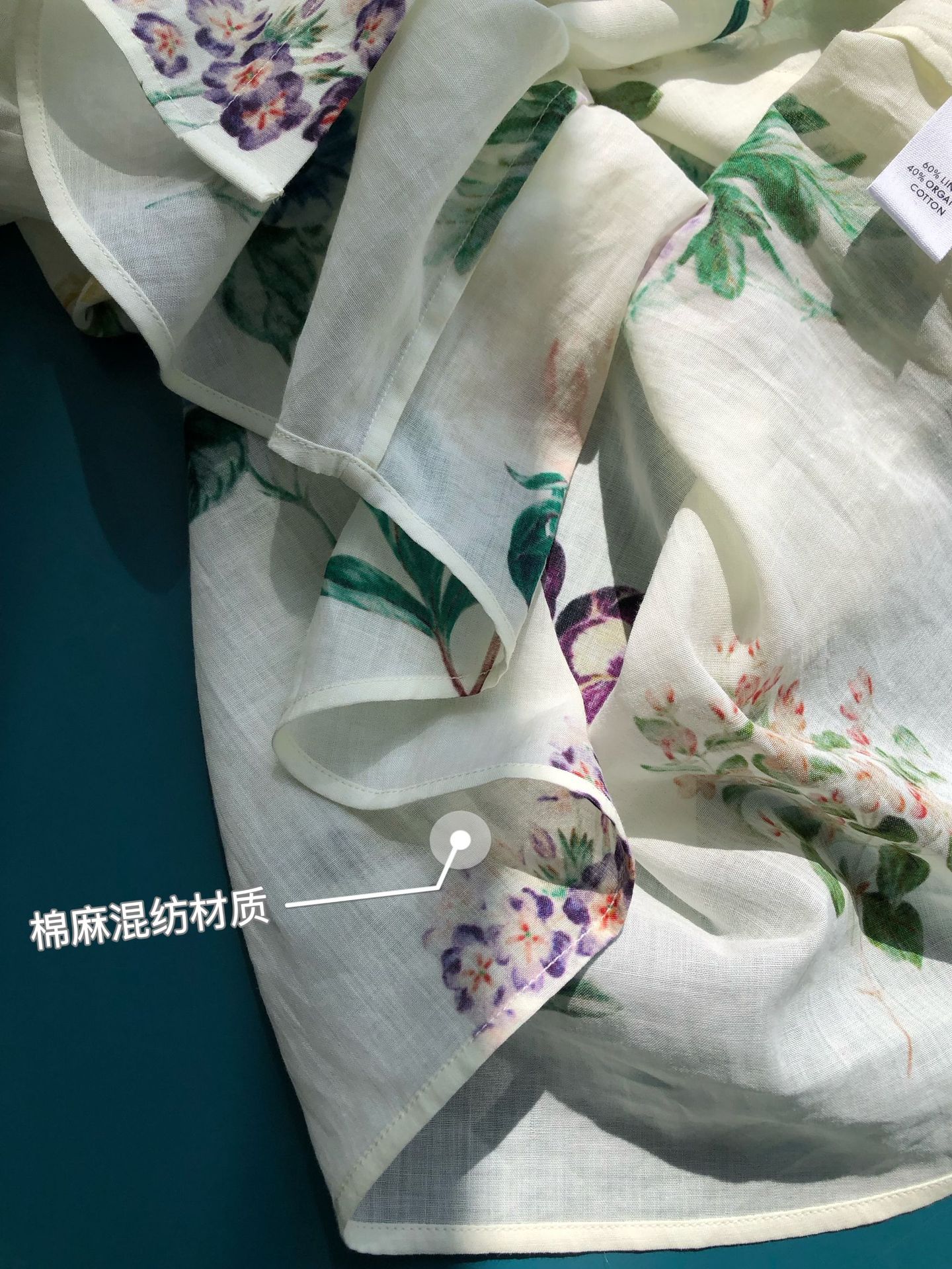 蓝牵牛8.JPG