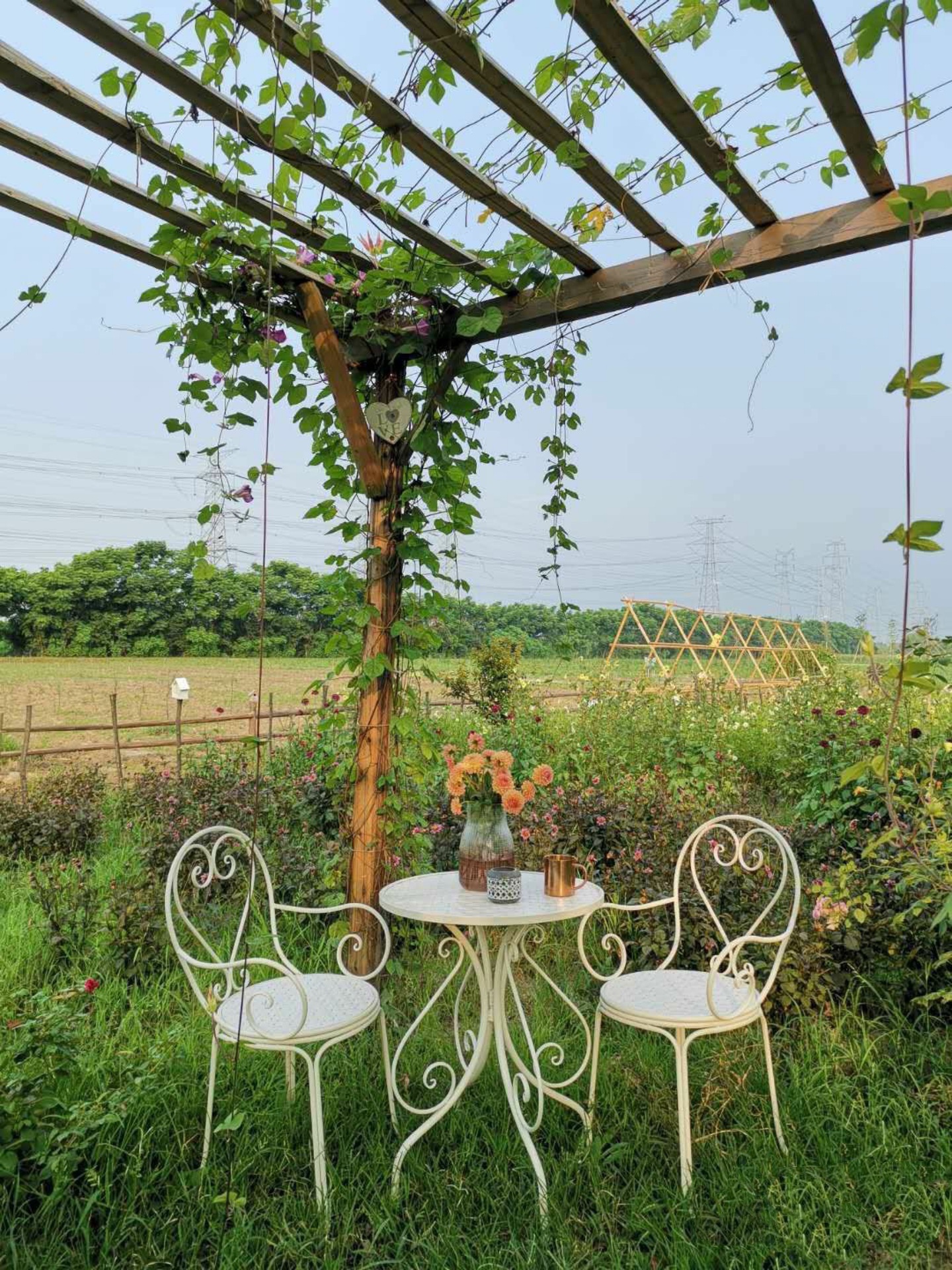 lQDPDhtd6WVFmJ3NC0DNCHCwxkIrKJ