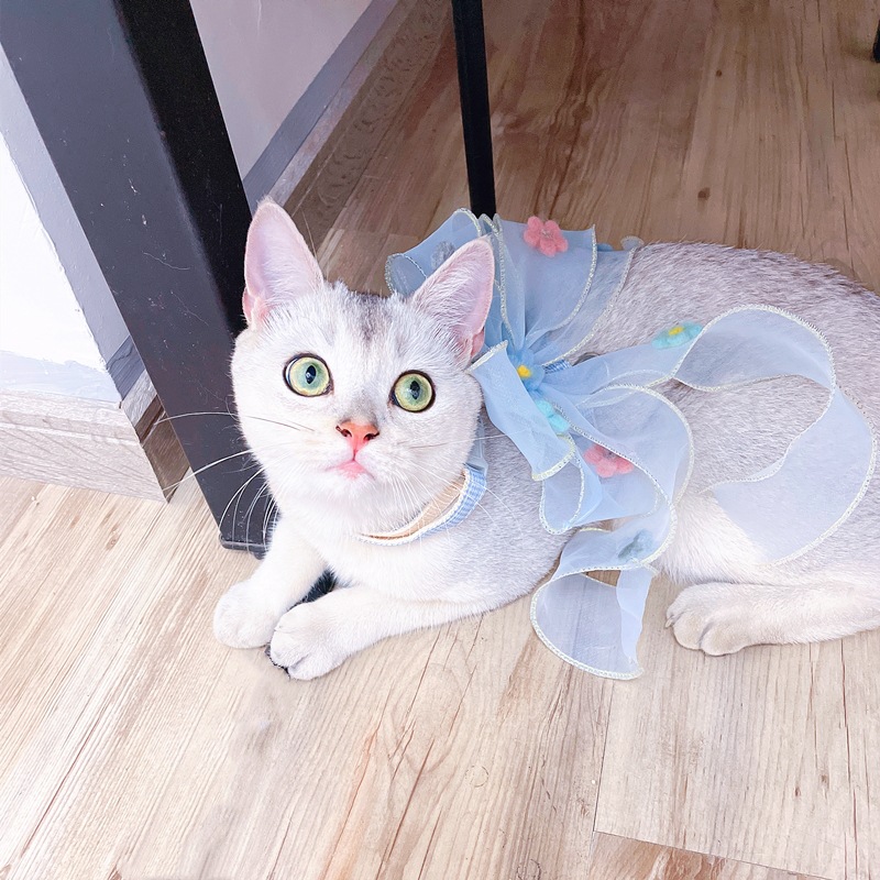 IMG_2470(20210901-151034)_副本