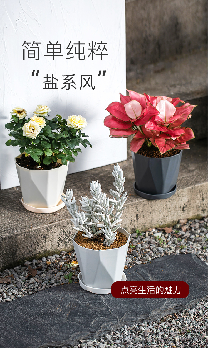 O1CN01tHgpJo1wyFzaYu0dI_!!2209