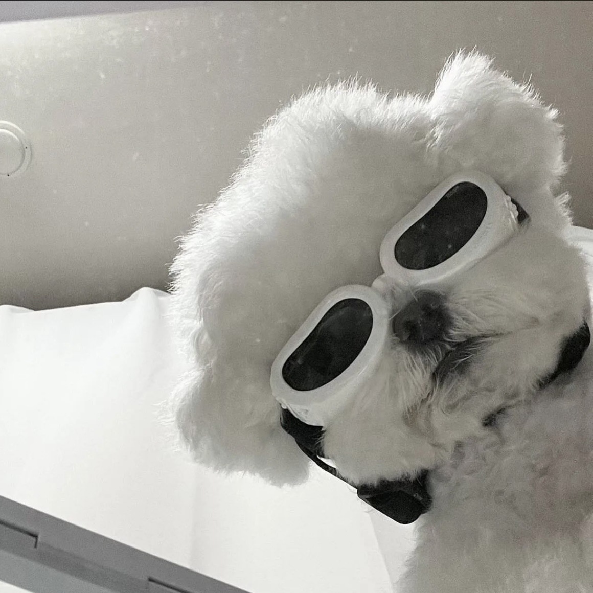 a979cace836e9360adbf56401d7ee9