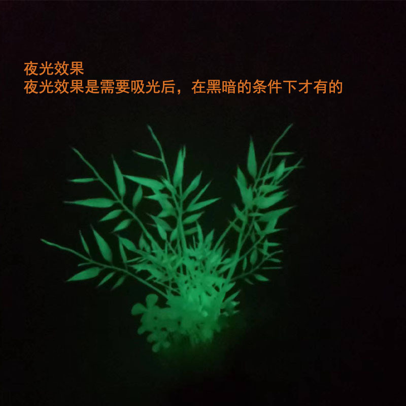 8-04夜光1.jpg