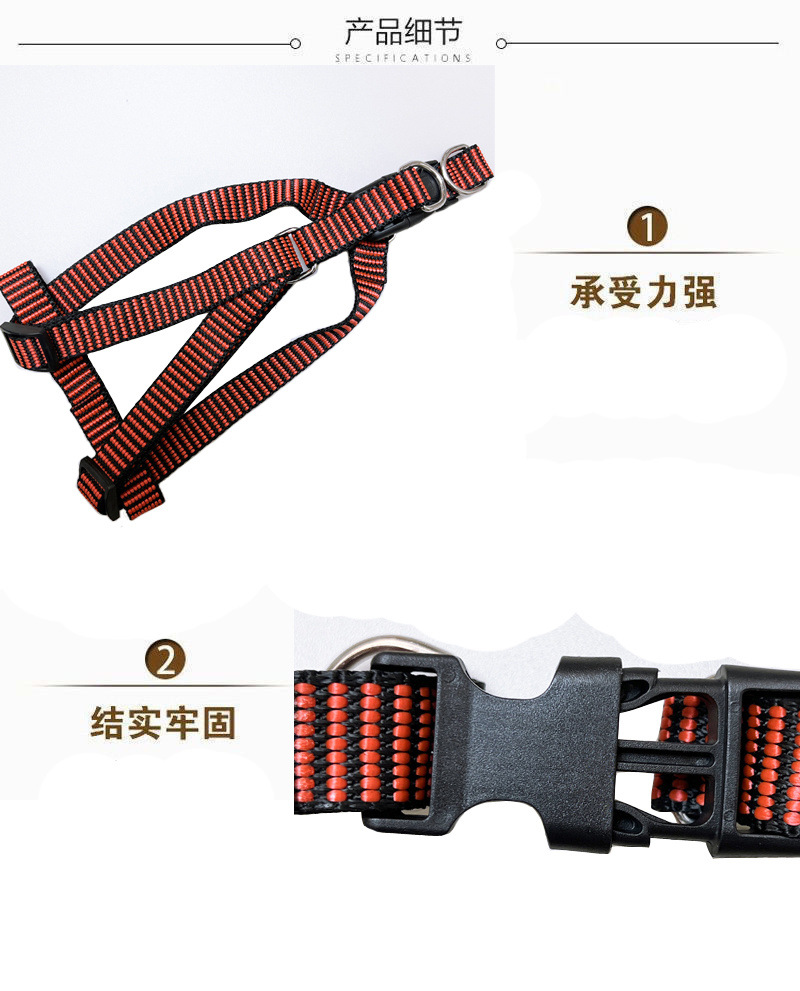 d1828dc5-9c08-4f7d-bbaf-fa750f11b462.jpe