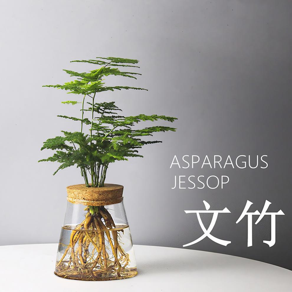 4d1081b3-9797-4c42-b5c5-d8dcf6d8cafa.jpe