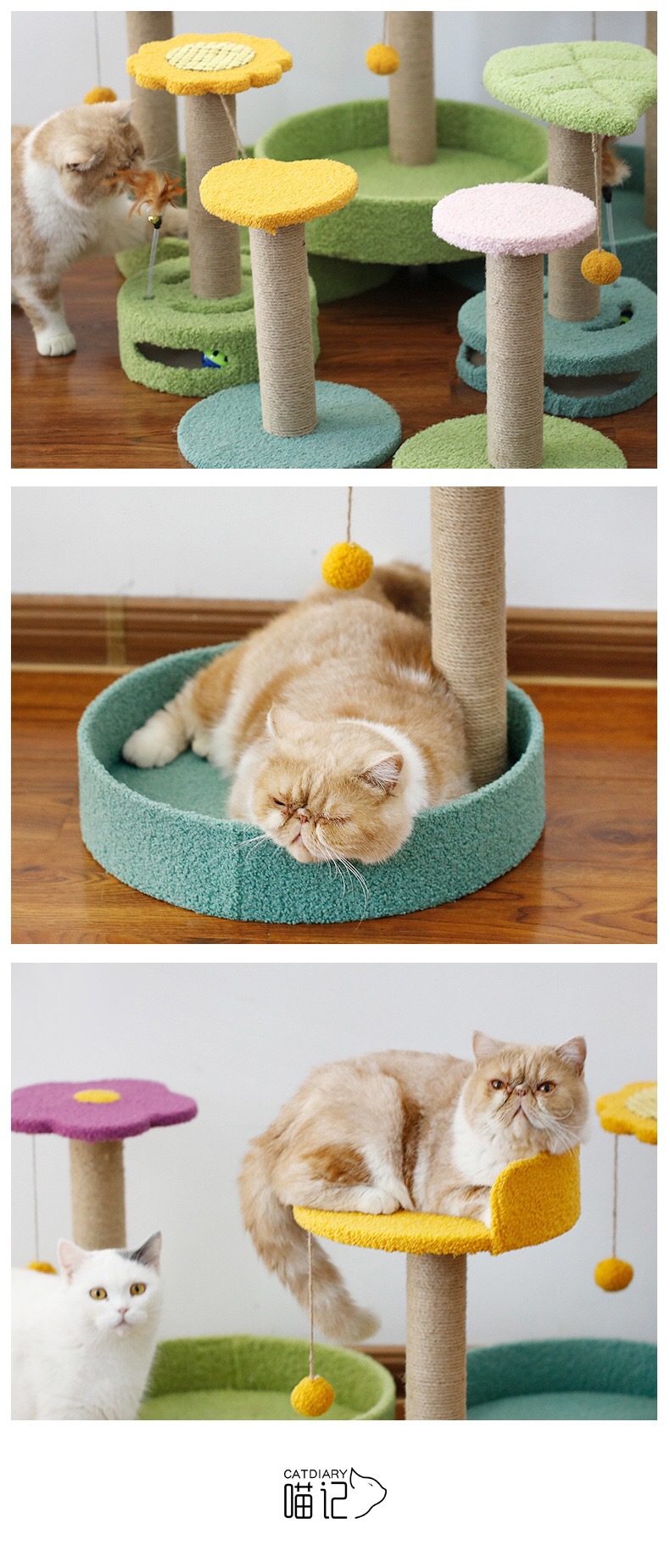 0597C7EE-8930-4A67-9D32-0398C2