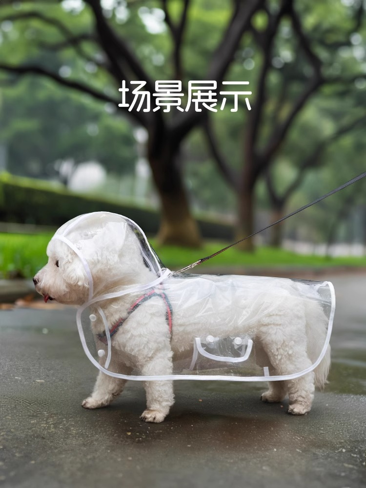 2f2fc8aa-318e-4516-8502-c10d685ba301.jpe