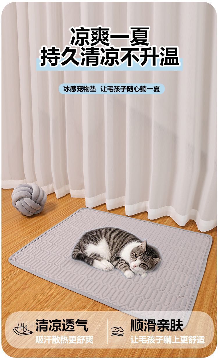 06f8286e-7d8e-47bb-ad2c-f8e569e21923.jpe