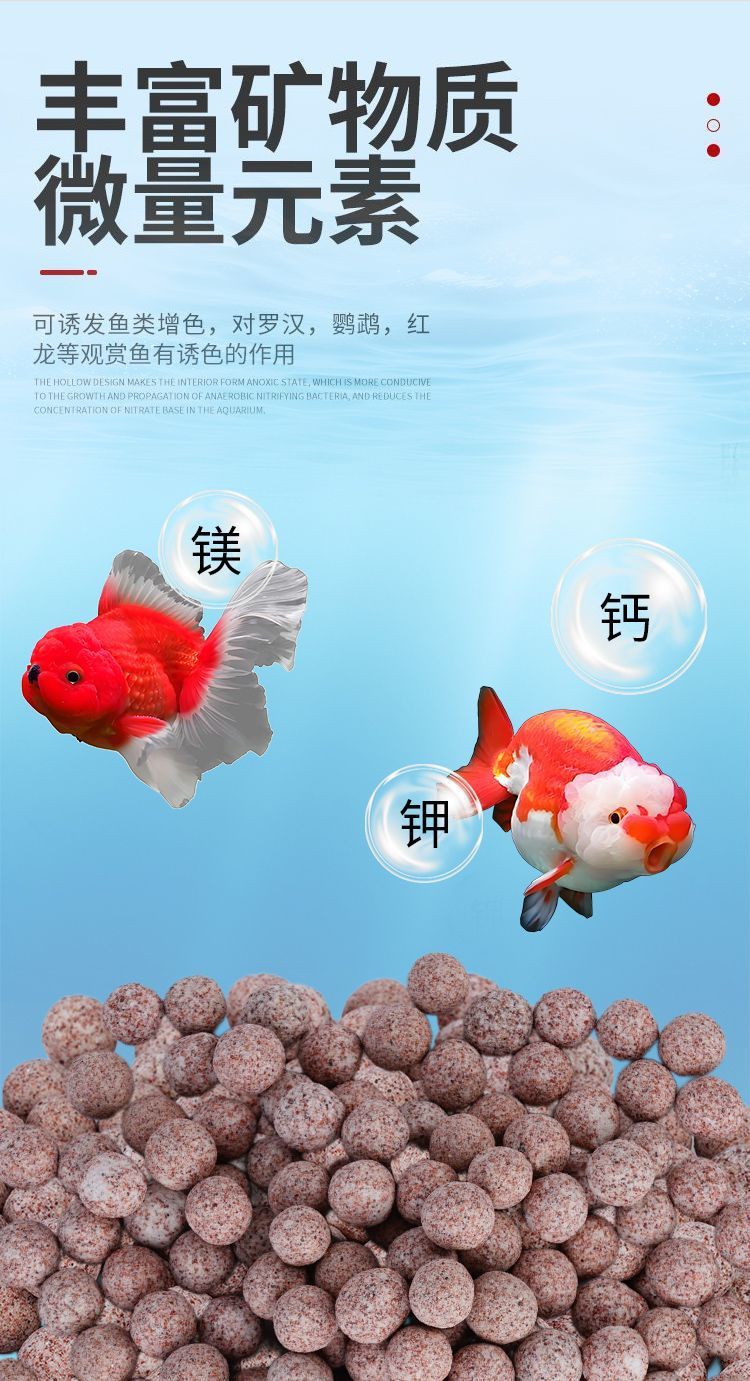 39e3261e-25f8-4c2a-a485-339299ebfa74.jpe