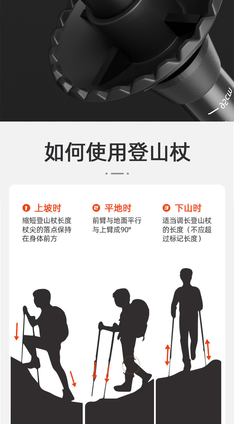 00025179-bdaf-42fe-a956-a9278b4773cd.jpe