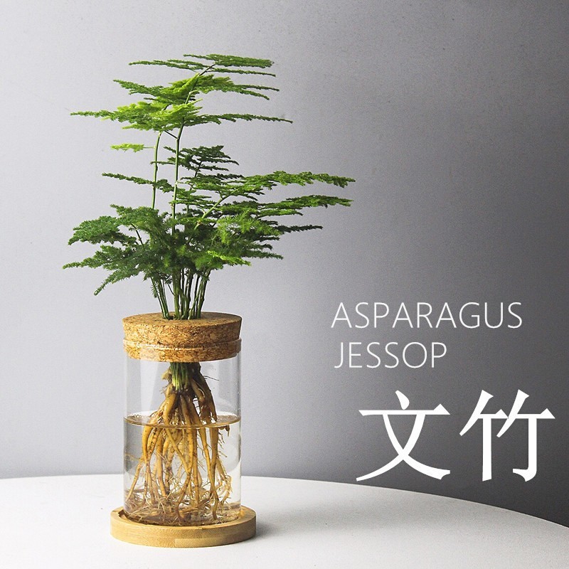 b7c59ada-a4d1-45e6-8c7a-eb80b2cb3f72.jpe