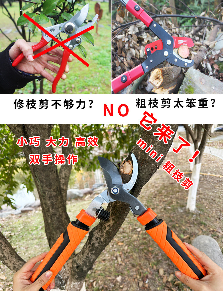 /O1CN01bC66ge1tjCS4nMtFJ_!!2218489295937-0-cib.jpg