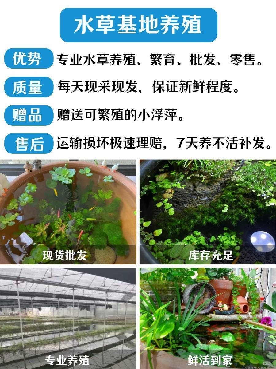 12cbfa9e-d0cc-4c35-846f-9dd0919c8325.jpe