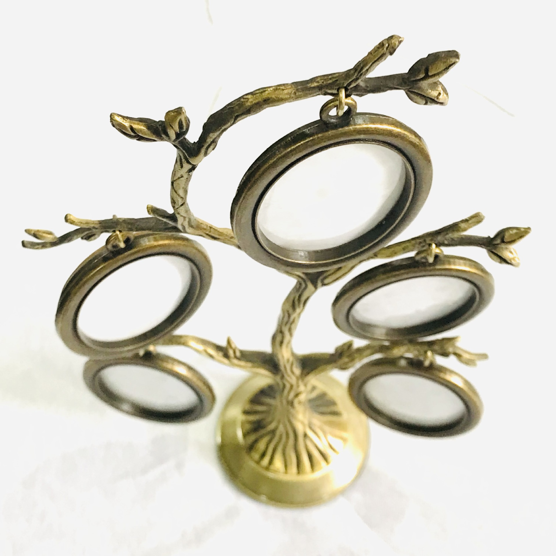 微信图片_20241115145406