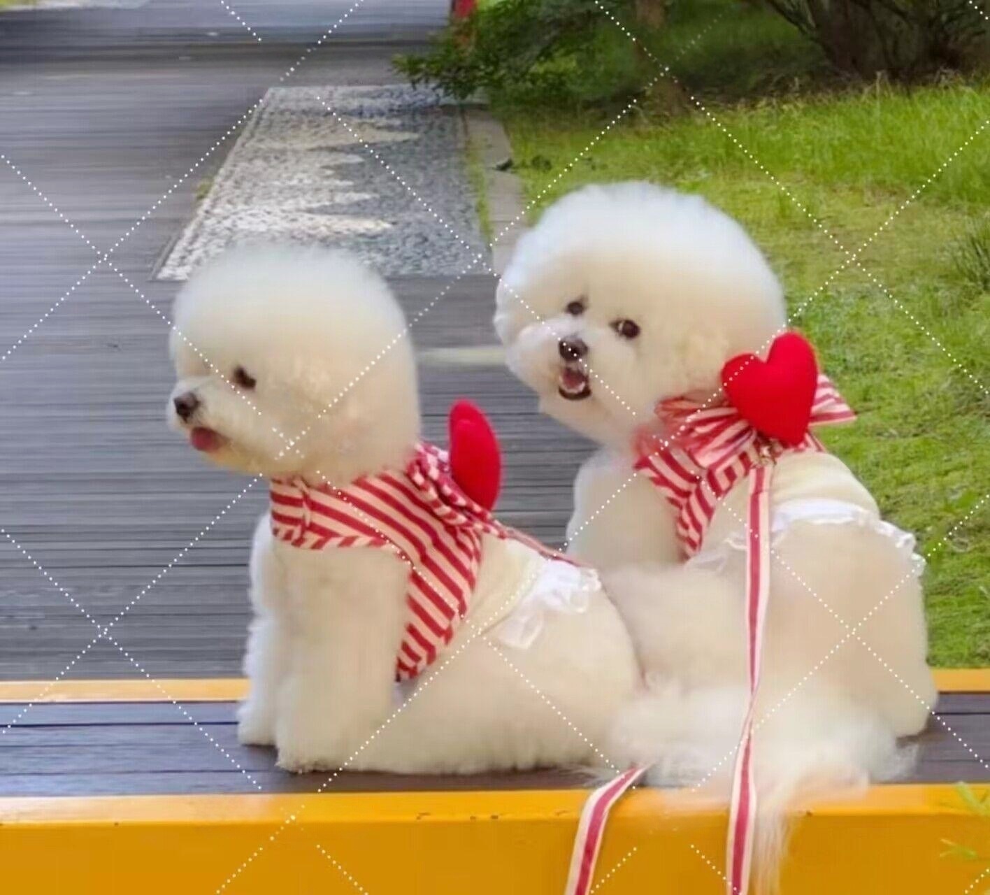 QQ图片20230809095505