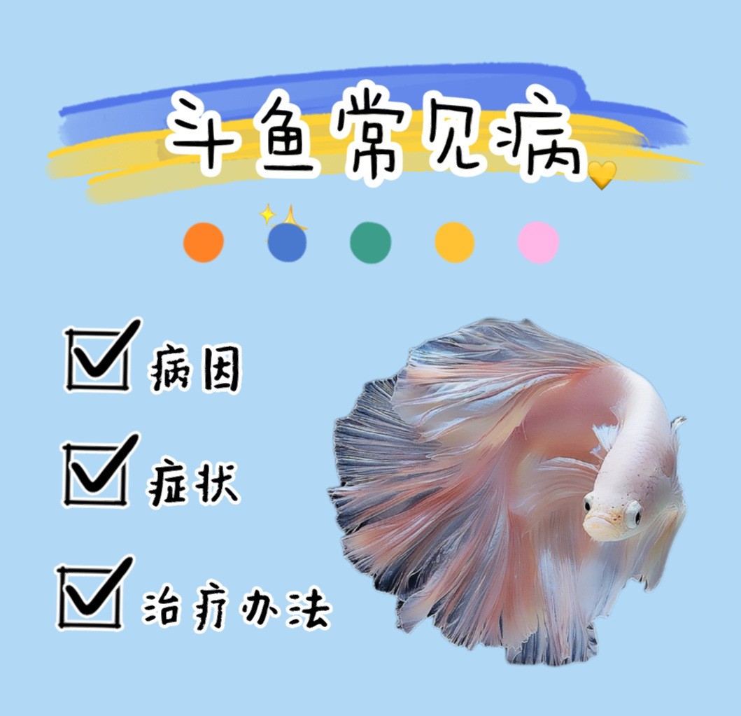 format,png