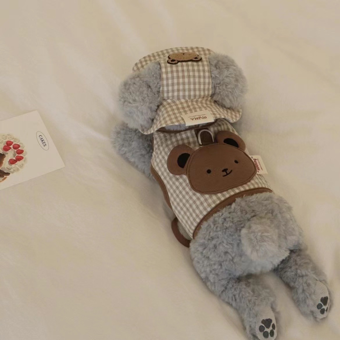 微信图片_20221007221516