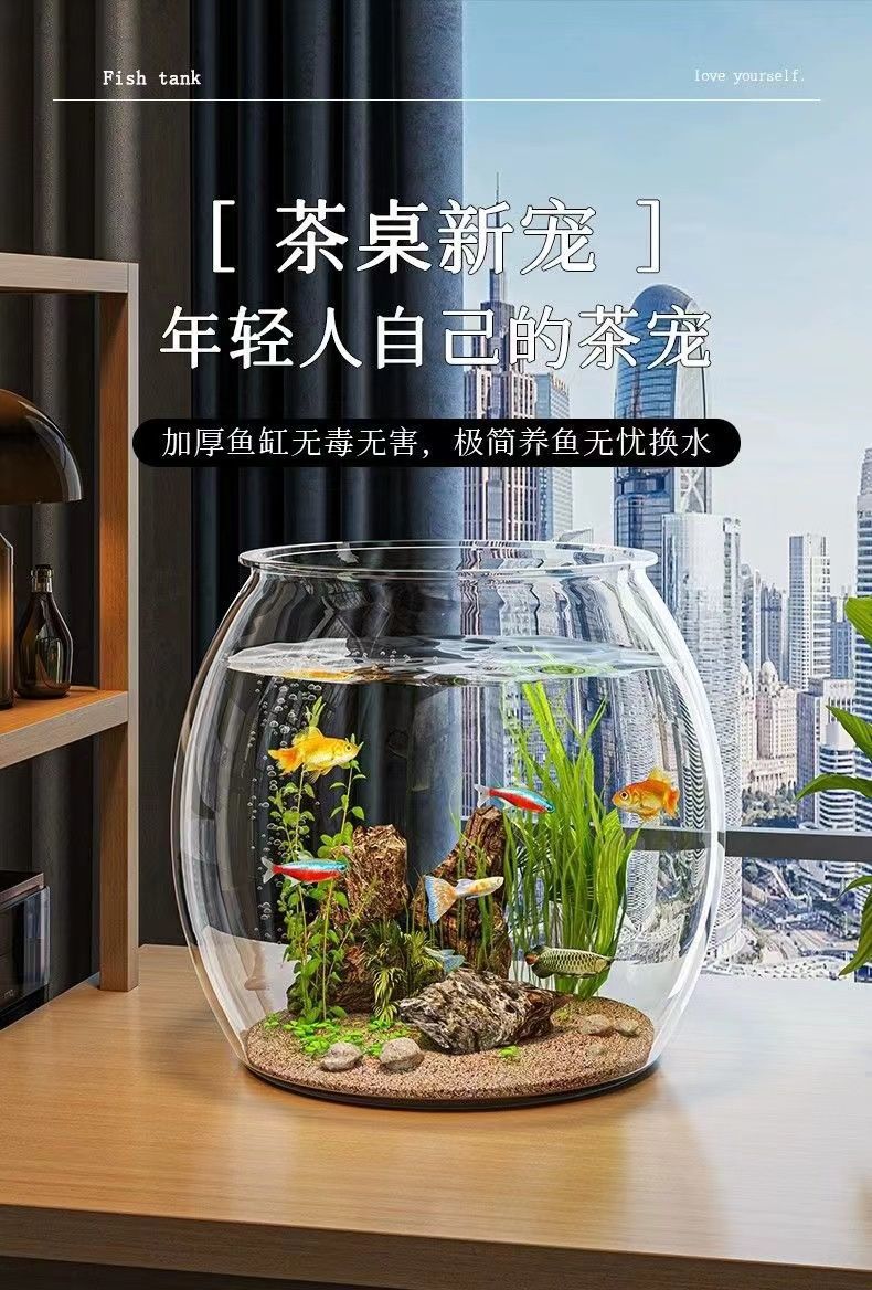 8bff107f-1fff-487e-9f1d-4e9c1361de4a.jpe